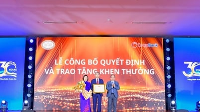 Co-opBank - 30 năm bền bỉ vì sự phát triển của hệ thống quỹ tín dụng nhân dân