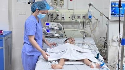 Cháu bé 3 tuổi hôn mê, ngừng tuần hoàn do hóc quả nhãn