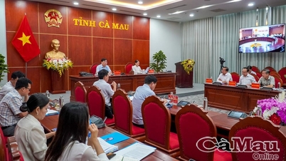 គម្រោងកសាងប្រព័ន្ធនយោបាយសម្រាប់ខេត្ត Ca Mau បន្ទាប់ពីការរួមបញ្ចូលគ្នា