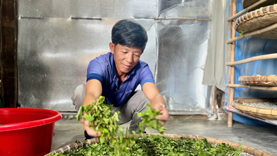 Nghề giúp nhiều hộ dân Lâm Đồng thoát nghèo bền vững