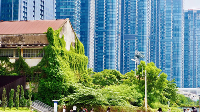 Tiếng còi tàu còn vang vọng