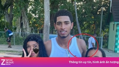 Vết sẹo của Bellingham
