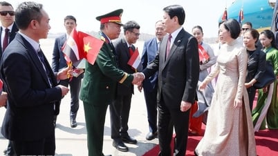 Mở ra giai đoạn hợp tác thương mại mới giữa Việt Nam và Ai Cập