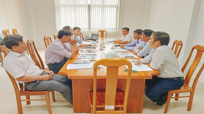 Triển khai thí điểm Mô hình phân loại, thu gom chất thải rắn sinh hoạt trên địa bàn Phường 2, TP. Cà Mau