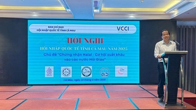 Cà Mau đẩy mạnh tìm hiểu về thị trường và chứng nhận Halal