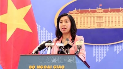 Người Phát ngôn Bộ Ngoại giao thông tin về việc nối lại đi lại với các nước
