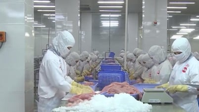 Mở rộng thị trường, nâng tầm hàng Việt trên bản đồ xuất khẩu