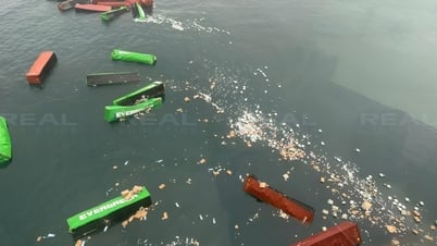 [Tin tức Hàng hải] Hai tàu Evergreen gặp nạn liên tiếp: Hơn 50 container rơi xuống biển