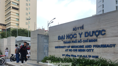 Không đạt ngưỡng yêu cầu, ĐH Y Dược TPHCM đề nghị hàng trăm thí sinh phải cung cấp minh chứng IELTS