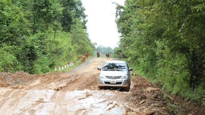 Gần 23 tỷ đồng sửa chữa 7,4km Quốc lộ 14C qua Lâm Đồng