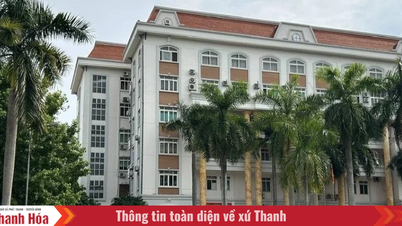 Khung số lượng cấp phó của các sở, cơ quan ngang sở thuộc UBND tỉnh Thanh Hóa