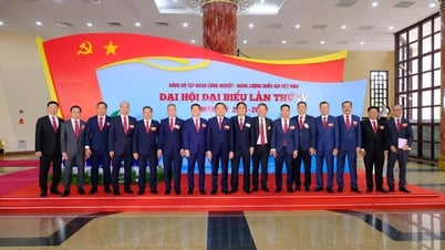 PTSC vinh dự tham dự Đại hội đại biểu Đảng bộ Tập đoàn Petrovietnam lần thứ IV, nhiệm kỳ 2025 – 2030