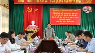 Ban Dân tộc HĐND tỉnh giám sát thực hiện chính sách hỗ trợ phát triển sản xuất tại Sở Nông nghiệp và Môi trường