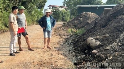 Bãi gỗ ảnh hưởng dân sinh