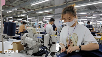 Thuế đối ứng 20%: Doanh nghiệp tìm cách thích ứng