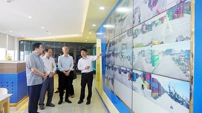 Cảng Đà Nẵng đẩy mạnh thực hiện số hoá