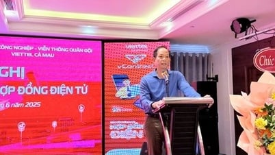 Hội nghị tập huấn về sử dụng hợp đồng điện tử