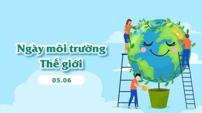 Tổ chức các hoạt động hưởng ứng Ngày Môi trường thế giới (05/6) và Tháng hành động vì môi trường năm 2025