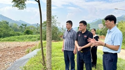 Sở Nông nghiệp và Môi trường: Kiểm tra thực trạng, tình hình hoạt động một số bãi xử lý rác thải