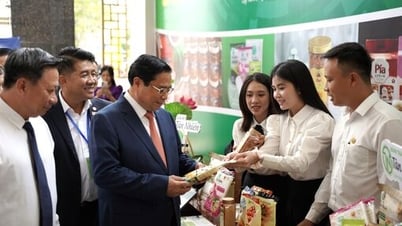 'Đòn bẩy' PCI - Giải pháp thu hút đầu tư và phát triển kinh tế