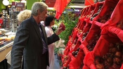 Mời tham gia Đoàn giao dịch thương mại tại thị trường Đức và Pháp