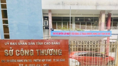 Hưởng ứng Ngày Quyền của Người tiêu dùng Việt Nam (15/3)