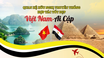 [Infographic] Traditional friendship and good cooperation between Vietnam and Egypt