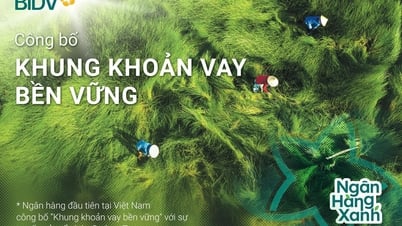 BID tiếp tục lọt Top 20 cổ phiếu phát triển bền vững nhất Việt Nam