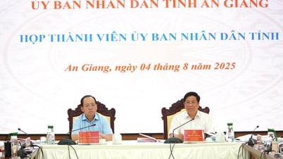 An Giang Provincial People's Committee met to approve many important contents