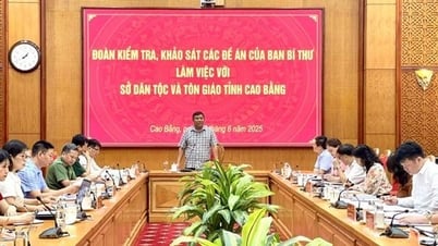 Ban Chỉ đạo tổng kết các đề án Trung ương làm việc với Sở Dân tộc và Tôn giáo tỉnh