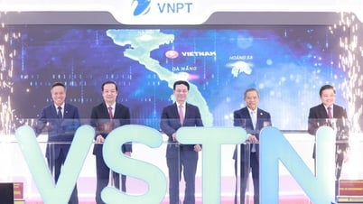 Khai trương tuyến cáp đất quốc tế đầu tiên do người Việt làm chủ đầu tư 100%