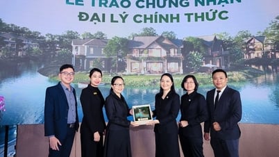 Nhà Đại Phát trở thành đại lý phân phối chính thức biệt thự đảo Retreat Island
