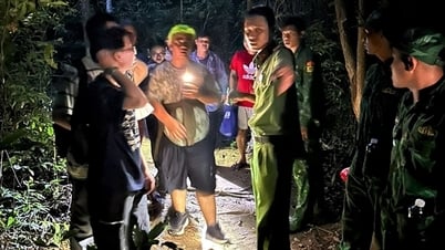 Tìm kiếm thành công 6 người bị lạc đường khi tham quan trên núi Minh Đạm