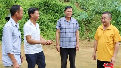 Vận hành hiệu quả mô hình tổ chức mới
