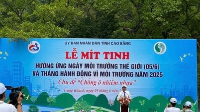 Mít tinh hưởng ứng Ngày Môi trường thế giới và Tháng hành động vì môi trường năm 2025