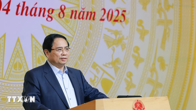 'Phát triển công nghiệp bán dẫn phải nghĩ sâu, làm lớn, nhìn xa, trông rộng'