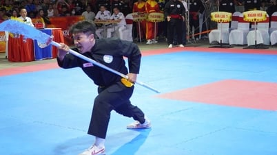 Hàng trăm VĐV tranh tài tại giải vô địch võ cổ truyền ở phố biển Gia Lai