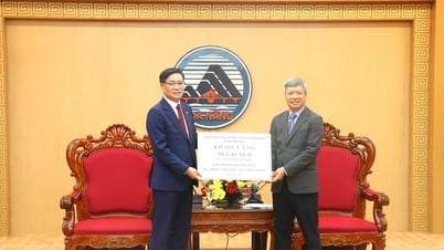Lãnh đạo thành phố tiếp các đối tác Hàn Quốc
