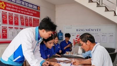 Tuổi trẻ Đà Nẵng sôi nổi hoạt động tình nguyện hè