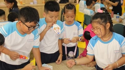 TP.HCM sau sáp nhập, phường nào nhiều, phường nào ít trường học nhất?