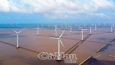 Ca Mau Sea - New momentum from aquaculture, wind power and tourism