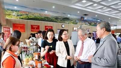 Tạo động lực thúc đẩy phát triển kinh tế tư nhân
