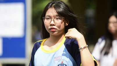 호치민시 5대 주요 대학 2025년 입학점수 상위 학과