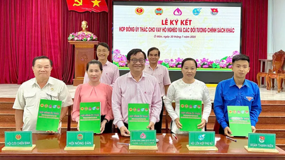 Nâng cao hiệu quả hoạt động ủy thác, phục vụ tốt hơn nhu cầu phát triển sản xuất, kinh doanh