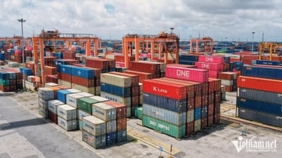 Vingroup rót hơn 370.000 tỷ đồng vào siêu dự án tại Hải Phòng