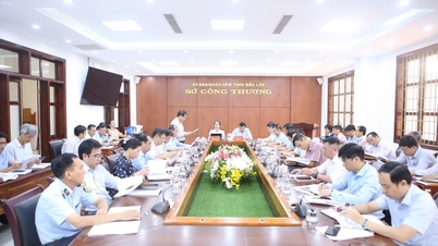 Le vice-président du Comité populaire provincial de Dak Lak, Dao My, a visité et travaillé avec le ministère de l'Industrie et du Commerce