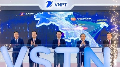 Vận hành tuyến cáp quang quốc tế đầu tiên do doanh nghiệp Việt Nam đầu tư 100%