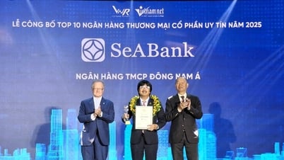 Top 10 Ngân hàng thương mại tư nhân uy tín tiếp tục...