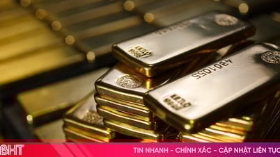 Giá vàng hôm nay 4/8: Trong nước vọt lên mức kỷ lục, thế giới hướng tới mốc mới