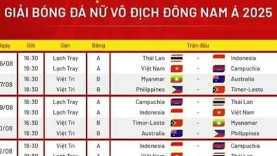 Lịch thi đấu của Đội tuyển Việt Nam tại Giải bóng đá nữ Đông Nam Á 2025
